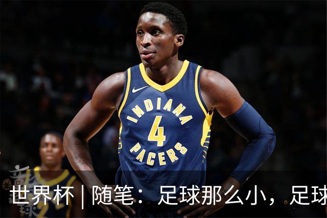 世界杯 | 随笔：足球那么小，足球这么大