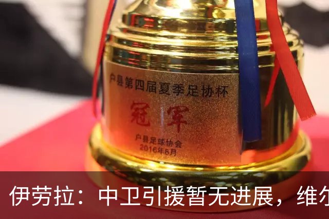 伊劳拉：中卫引援暂无进展，维尔茨新赛季将出任前腰