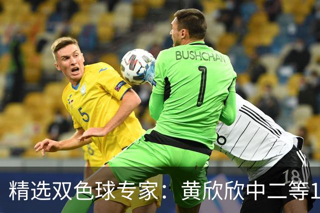 精选双色球专家：黄欣欣中二等114万 9人中5+1
