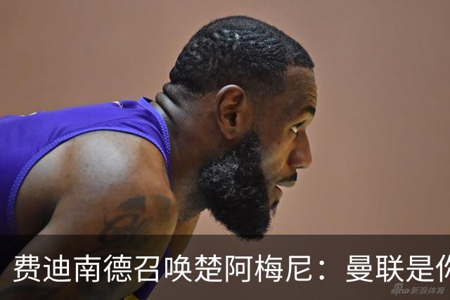 费迪南德召唤楚阿梅尼：曼联是你的唯一归宿，想成事的话就来吧！